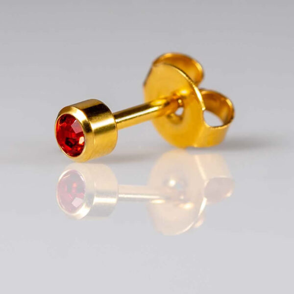 CAFLON Standard Earring YB7 - Image 2