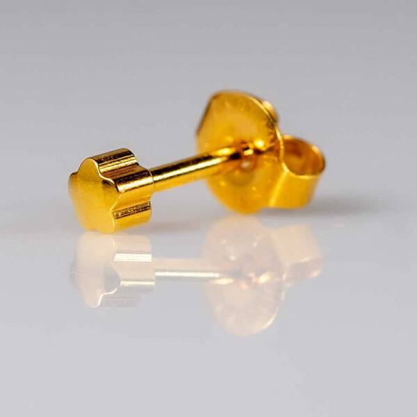 CAFLON Standard Earring YFL - Image 3