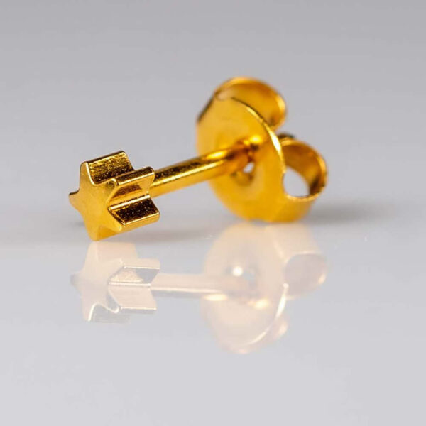 CAFLON Standard Earring YST - Image 3