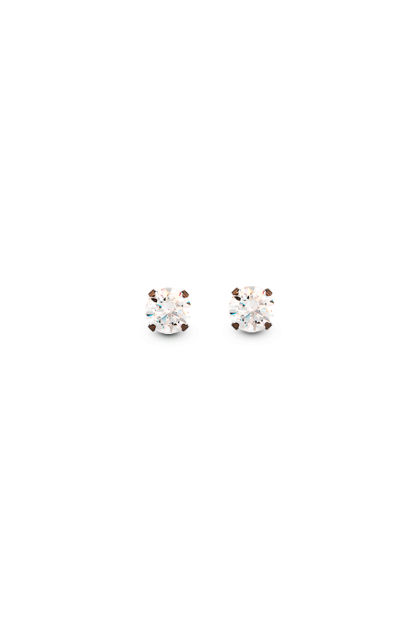 CAFLON Fashion Earring FJ2CZWS