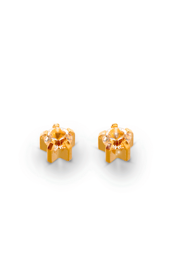 CAFLON Standard Earring Y104